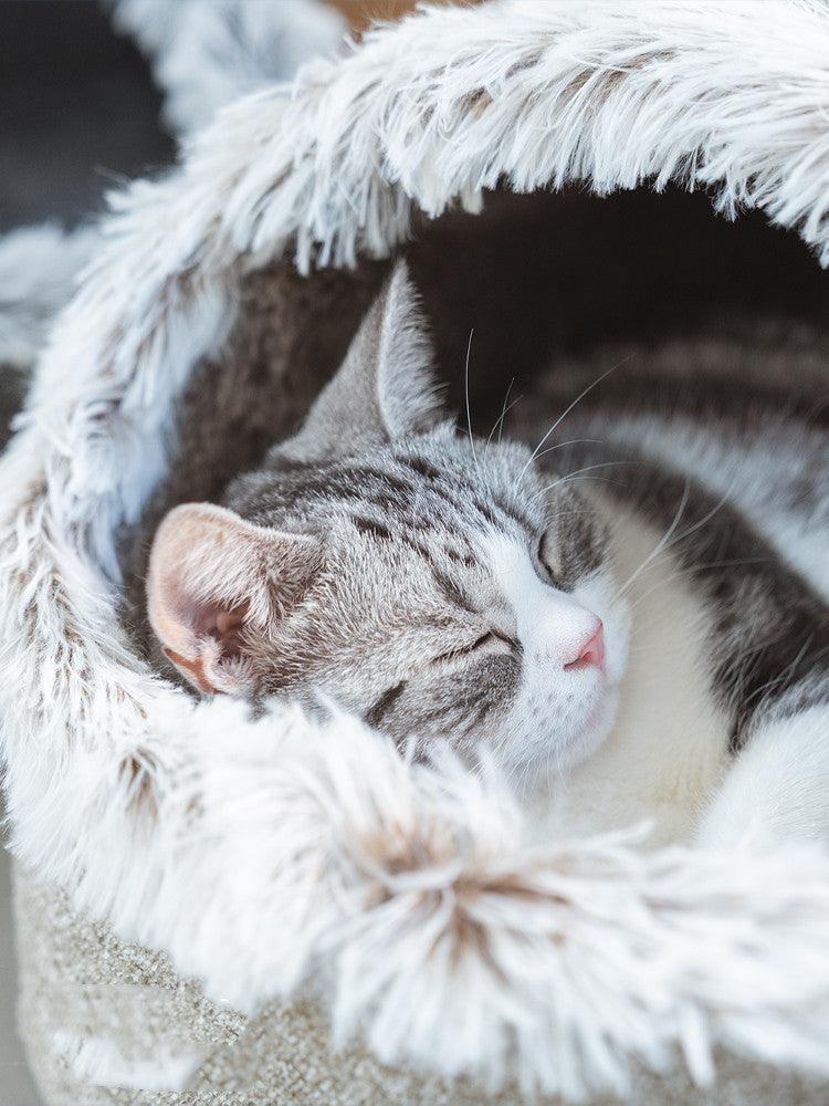 Cozyhaven Winter Cat Retreat